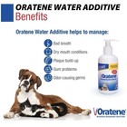 Pet King Brands Zymox Oratene Water Additive Brushless Oral Care Pets Exp  10 26