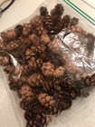 100  Mini Hemlock Pine Cones  Crafts wreaths more 