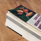 The Audubon Society Field Guide To North American Mushrooms  1988 