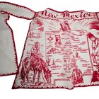 Vintage Child s Souvenir Half Apron From New Mexico Mid-century Organza 