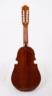 Cuatro Don Jose 10-string Acoustic electric-  open Box - Final Sale  
