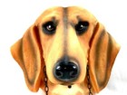 Msr Imports Bloodhound Barking Wall Plaque - Working Sound Decoration