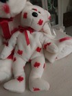 Ty Beanie Buddy And Beanie Chinook Canadian Executive 