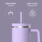 Hydrapeak Voyager 40oz Insulated Tumbler With Handle   40 Ounces  Lavender
