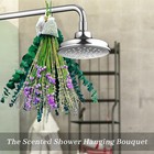 Eucalyptus For Shower With Lavender fresh Green Stems 