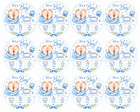 Baby Boy Birth Announcement Edible Cupcake Toppers Custom 12 Circles