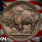 1919 P Buffalo Nickel A6531