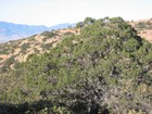 Arizona Land For Sale  67  Acre Parcel  seller Carry Back 