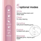 Fairywill Electric Toothbrush Sonic Toothbrush Usb Rechargeable 4 Heads 5 Modes