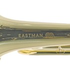 Eastman Efg412 Intermediate Flugelhorn In Lacquer Sn F2500605