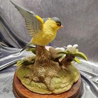 Vintage Goldfinch W wild Rose By Abdrea Sadek 8241 Japan Excellent Condition 