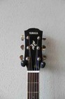 Brand New Yamaha Apx600 Acoustic electric Guitar With Gig Bag - White