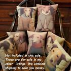 Vintage Primitive Folk Colonial Reproduction Antique Portrait Dog Pillow  No  3