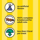 Mixups Catnip Fever Flavor Crunchy And Soft Cat Treats  30 Oz  Tub