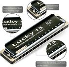 Lucky 13 Bass Plus Blues Harmonica 13 Holes Diatonic Harp Mouth Organ Us Stock