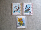 Montserrat  Scott  337-339  Mh