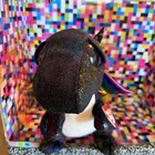 The Dragon 9    Ty Beanie Boos Anora Black With Rainbow Shimmer Wings