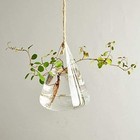 Glass Propagation Station Wall Hanging Planters Flower Vases Clear 