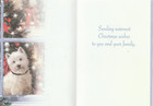 2 Christmas Cards Featuring Dogs And Snow Still New