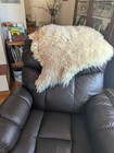   Champagne Color Curly Sheepskin Rug Or Throw  100  Natural Sheepskin
