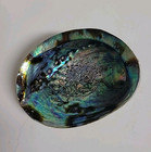 Abalone Smudge Shell Green  Mother Of Pearl Irredescent Trinket