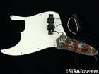Fender Squier 60s Cv Classic Vibe  J Jazz Bass Loaded Pickguard Tortoise