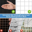 Chicken Cage Wire Fence Galvanized Welded Mesh 394 In   119 In X15 75 In