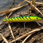Rapala Giant Firetiger Fishing Lure 24 5  Jerk Minnow Green Yellow D  cor Firetig