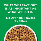 Purina Dog Chow Complete Adult Dry Dog Food High Protein Real Chicken 18 5 Lb