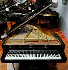 Steinway   Sons Model O 5 10 3 4  Grand Piano 1915 Restored Renner Abel Ebony