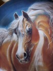 Retired Danbury Mint Arabian Horse Plate Golden Lights By Susie Morton