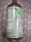 Wen By Chaz Dean Cucumber Aloe Cleansing Conditioner 16oz  sealed     Pump