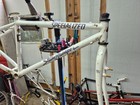 Vintage Specialized Stumpjumper W  Horizontal Drop Outs