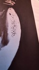 Korn Monumental M g Exclusive Poster 18x24   Minor Creases   Rare 1 Of Only 3000