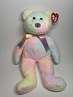 Ty Beanie Baby And Buddy Groovy The Ty -dyed Bear