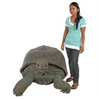 Realistic Galapagos Island Tortoise Over Sized Statue Land Turtle Reptile Prop