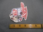 Vintage New York Giants Taz Patch Nfl Looney Tunes Tasmanian Devil Football