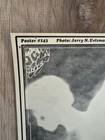 1968 Fd-143 Buddy Miles Express Avalon Poster Original Jerry Uelsmann Read