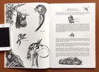 Map Of Papua New Guinea   Cultural Guidebook