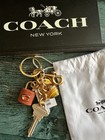 Bn Coach Key Cluster Bag Charm Chalk Pink Multi Bn