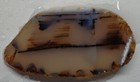 Wrg- Montana Agate Slab 26 Grams Lapidary Old Stock