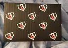 Baseball Lifestyle 101 Holiday Themed Gift Box