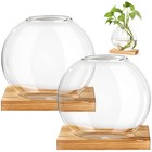 Plant Terrarium Propagation Station W  Wooden Stand Air Planter Bulb Glass Vase