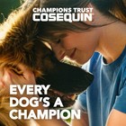 Nutramax Cosequin For Dogs Joint Health Supplement  Contains Glucosamine For