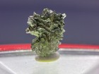 Moldavite 1g Besednice Jezkovna Hedgehog Czech Republic Tektite Rare 