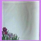 Paper Pizazz Vellum Collection Scrapbook Paper Pad - 18 Acid-free Sheets