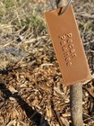 5-pack Petg Custom Tree Tags     Uv Resistant  Printed Embossed  Marker