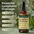 Lymphoria Lymphatic Drainage Drops Herbal Liquid Lymph Support Wellness Tincture