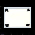 Old Vintage Photo Affectionate Men Women Standing Outside