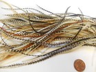 100 Whiting Metz Long Feathers Craft Jewelry Hair Fly Tying Asst Lot Grizzly Etc